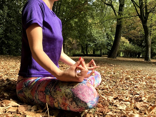 La maison des Yogis Yogas La maison des Yogis Yogas