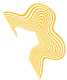 Les actualités de SINGA Paris Les actualités de SINGA Paris