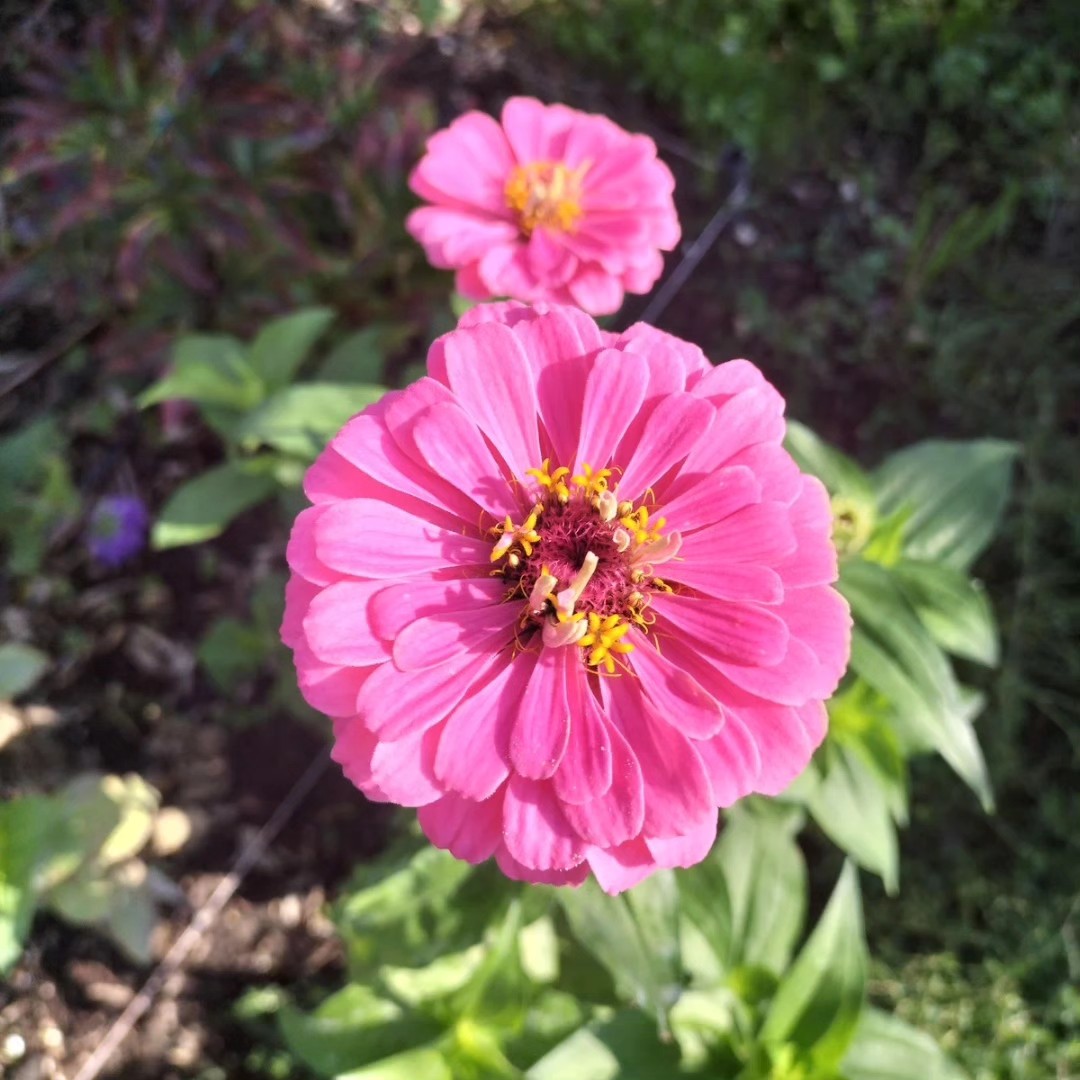 Les ateliers jardin avec Le Paysan Urbain Les ateliers jardin avec Le Paysan Urbain