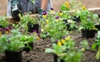 Les ateliers jardin du mois de juillet