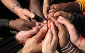 Mise à jour de vos activités sur le réseau Actionstransculturelles.org