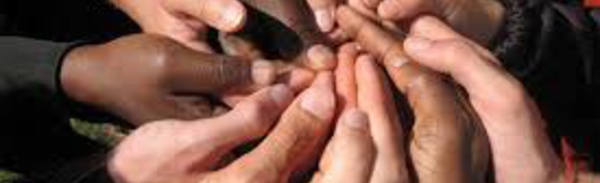 Mise à jour de vos activités sur le réseau Actionstransculturelles.org