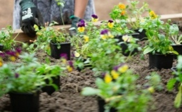 Les ateliers jardin du mois de juillet