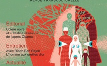 Cliniques transculturelles  3