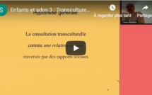 Les logiques dans le transfert culturel