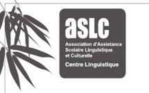 Parcours Linguistique à Visée Professionnelle Pré-professionnalisant Métiers de la Petite Enfance et Services à la personne (PLVP 11)