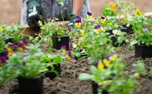 Ateliers jardin à la Maison des réfugiés